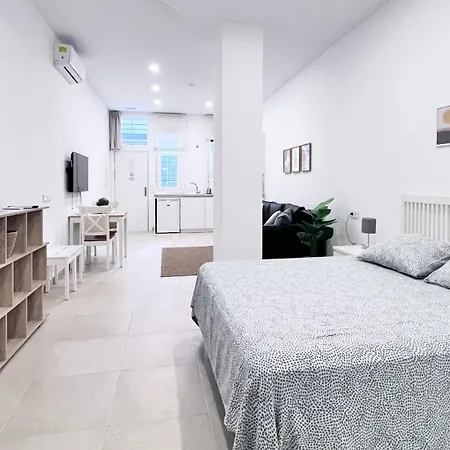 Apartamento Estación-centro Vialia Málaga