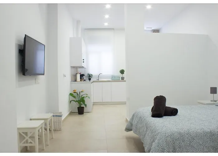 Apartment Estacion-centro Vialia *
